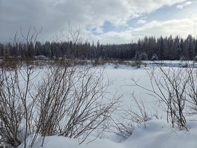 RAWLAND(TBD) Yaak River Road, Yaak, MT 59935