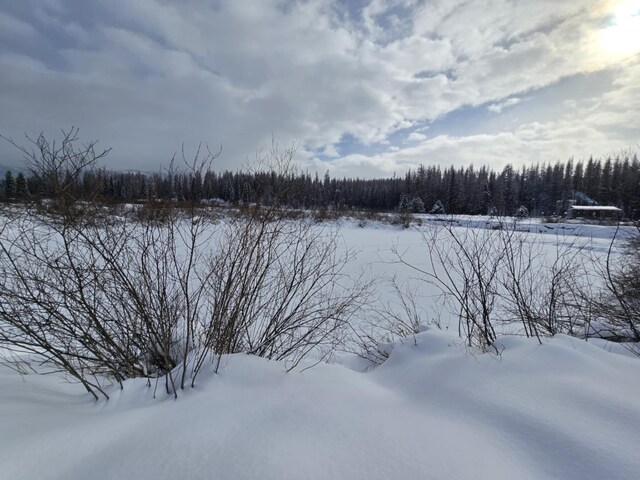 RAWLAND(TBD) Yaak River Road, Yaak, MT 59935