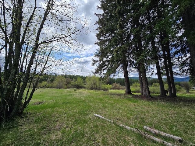 RAWLAND(TBD) Yaak River Road, Yaak, MT 59935