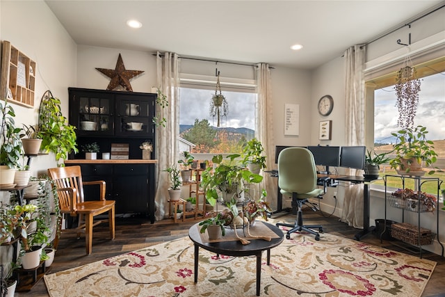 office with dark hardwood / wood-style floors and a wealth of natural light