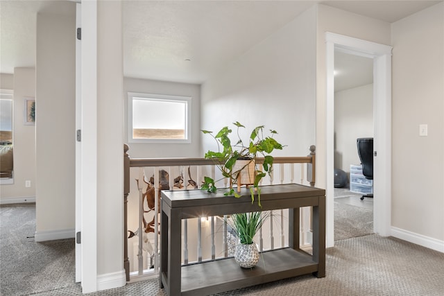 hallway with carpet flooring