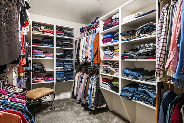 spacious closet featuring carpet flooring