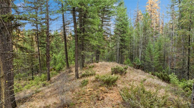 Listing photo 2 for NHN Bootjack Lake Rd, Whitefish MT 59937