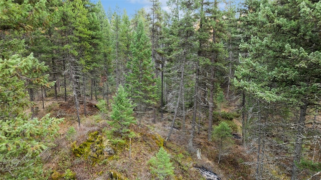 Listing photo 3 for NHN Bootjack Lake Rd, Whitefish MT 59937