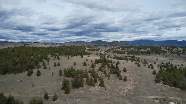 nhn Browns Gulch Road, Butte MT, 59701 land for sale