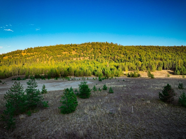 9330 US Highway 2 W, Marion, MT 59925 - mountain view with a heavily wooded area