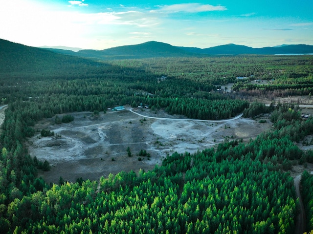 9330 US Highway 2 W, Marion, MT 59925 - view of mountain background with a forest