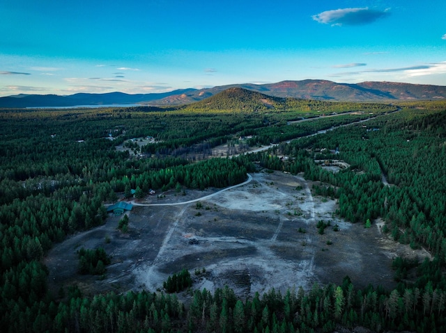 9330 US Highway 2 W, Marion, MT 59925 - view of mountain backdrop with a heavily wooded area