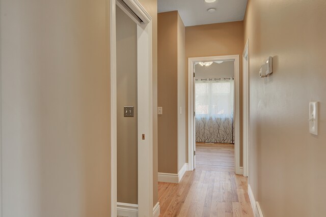 hall with light hardwood / wood-style flooring