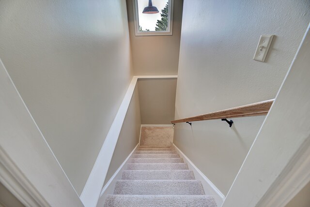 stairs featuring carpet flooring