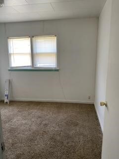 unfurnished room with carpet