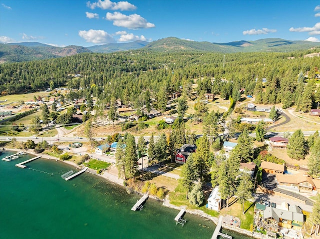 birds eye view of property featuring a water and mountain view