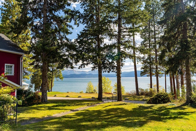 view of yard featuring a water and mountain view