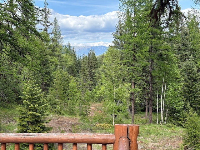 1750 Hill Meadows Rd, Whitefish, MT 59937 - view of yard with a forest view and a mountain view