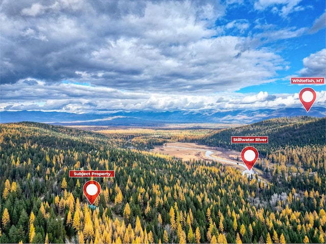1750 Hill Meadows Rd, Whitefish, MT 59937 - drone / aerial view of a heavily wooded area and a mountain backdrop