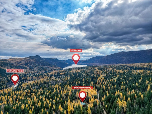1750 Hill Meadows Rd, Whitefish, MT 59937 - mountain view featuring a heavily wooded area
