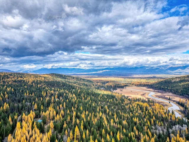 1750 Hill Meadows Rd, Whitefish, MT 59937 - mountain view with a forest