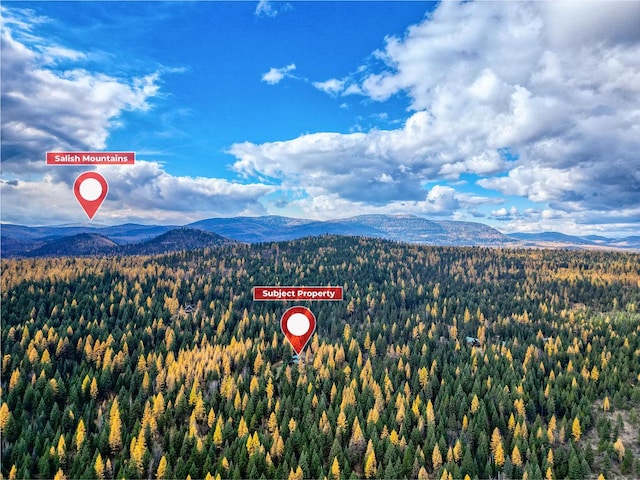 1750 Hill Meadows Rd, Whitefish, MT 59937 - view of mountain background featuring a forest