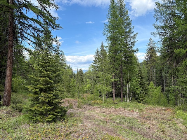 1750 Hill Meadows Rd, Whitefish, MT 59937 - view of woods