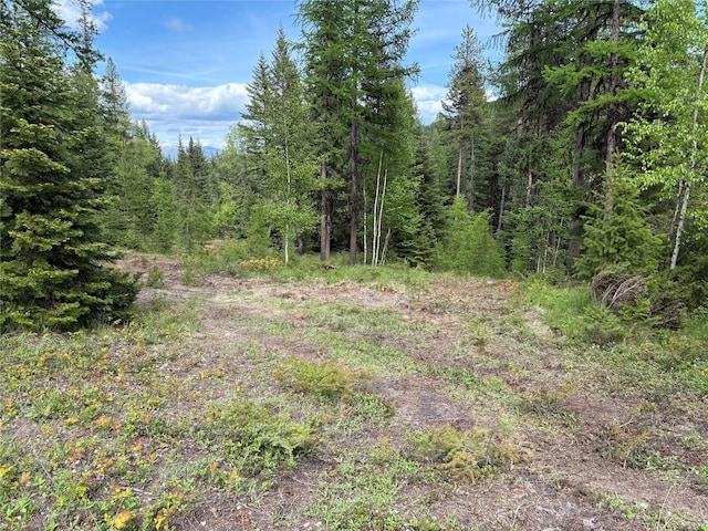 1750 Hill Meadows Rd, Whitefish, MT 59937 - view of tree filled area