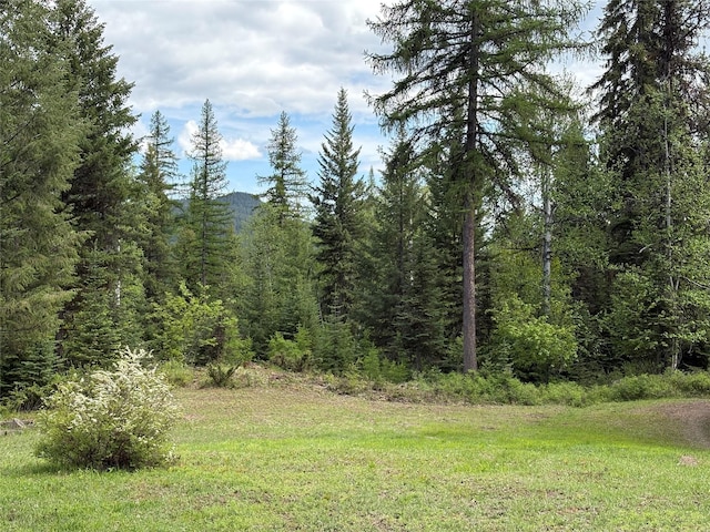 1750 Hill Meadows Rd, Whitefish, MT 59937 - view of wooded area