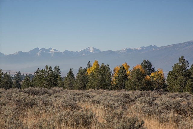 NHNs Lord Byron Trail, Hamilton, MT 59840
