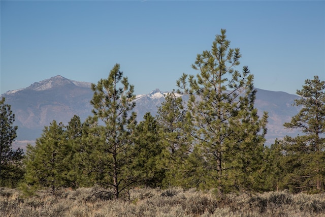 NHNs Lord Byron Trail, Hamilton, MT 59840