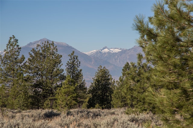 NHNs Lord Byron Trail, Hamilton, MT 59840