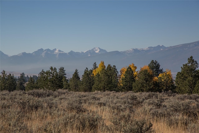 NHNs Lord Byron Trail, Hamilton, MT 59840