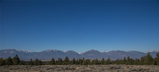 NHNs Lord Byron Trail, Hamilton, MT 59840