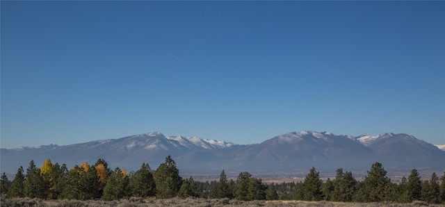 NHNs Lord Byron Trail, Hamilton, MT 59840