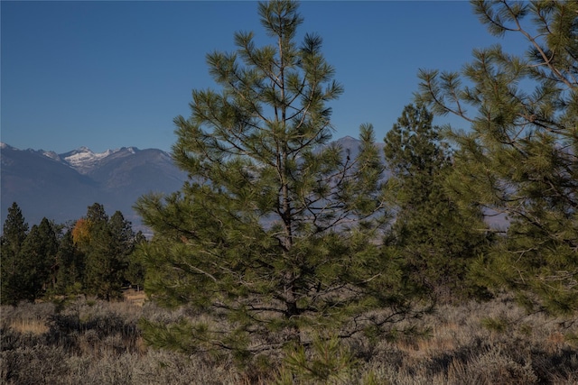 NHNs Lord Byron Trail, Hamilton, MT 59840