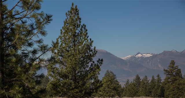 NHNs Lord Byron Trail, Hamilton, MT 59840