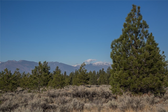 NHNs Lord Byron Trail, Hamilton, MT 59840