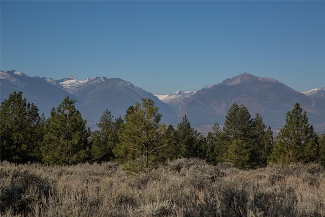 NHNs Lord Byron Trail, Hamilton, MT 59840