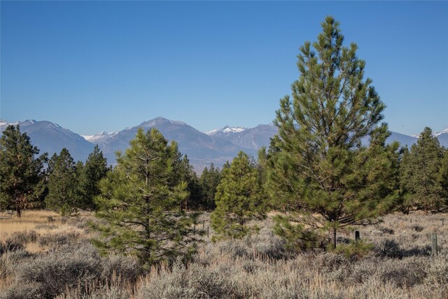 NHNs Lord Byron Trail, Hamilton, MT 59840