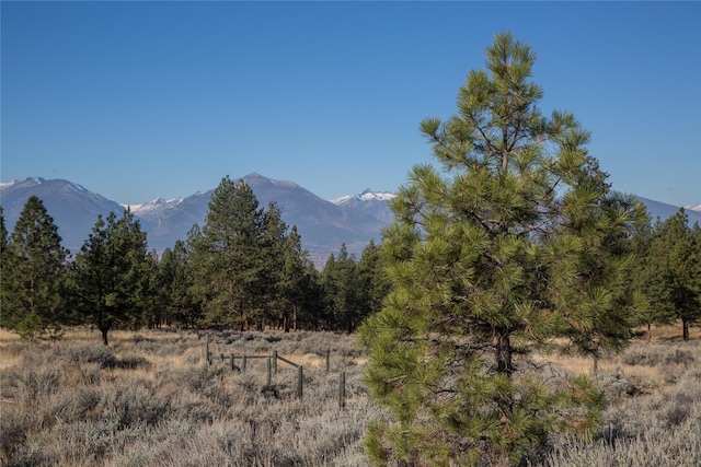 NHNs Lord Byron Trail, Hamilton, MT 59840