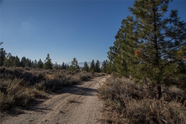 NHNs Lord Byron Trail, Hamilton, MT 59840