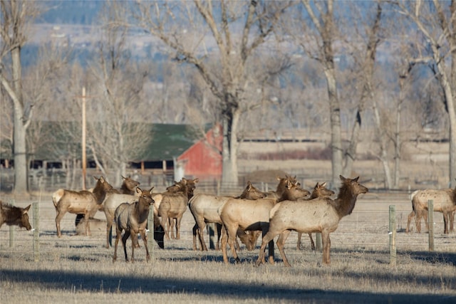 NHNs Lord Byron Trail, Hamilton, MT 59840
