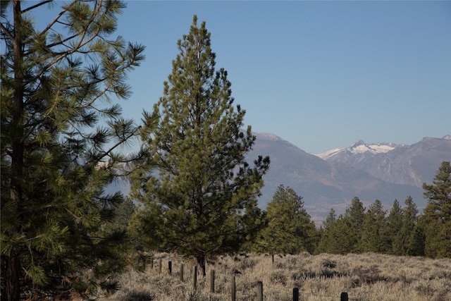NHNs Lord Byron Trail, Hamilton, MT 59840