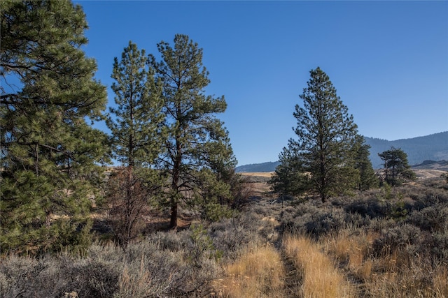 NHNs Lord Byron Trail, Hamilton, MT 59840