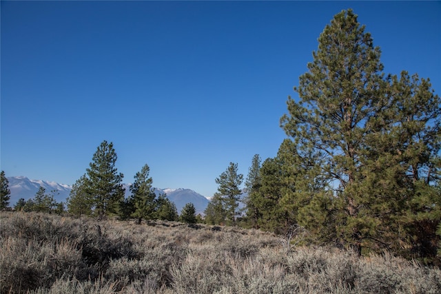 NHNs Lord Byron Trail, Hamilton, MT 59840