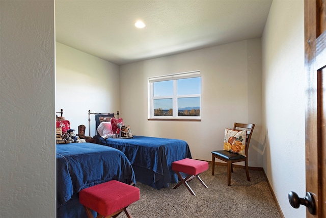 bedroom featuring carpet