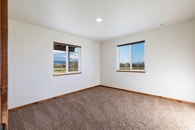 carpeted empty room featuring a wealth of natural light