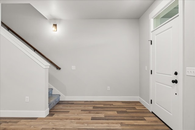 entrance foyer featuring wood-type flooring