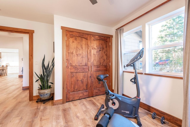 exercise area with light hardwood / wood-style floors