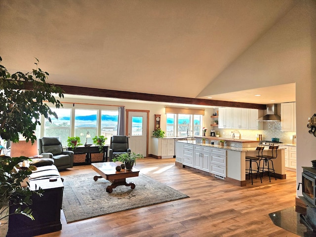 living room featuring high vaulted ceiling, a healthy amount of sunlight, and light hardwood / wood-style floors