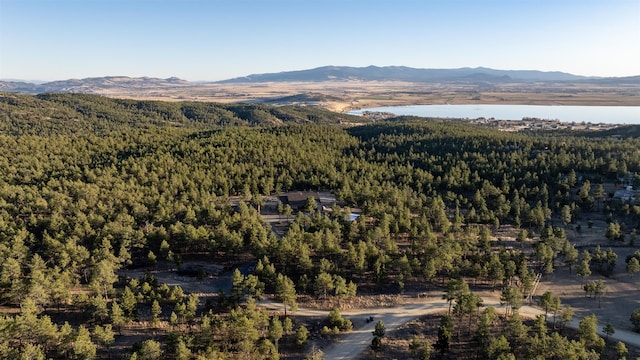 drone / aerial view featuring a water and mountain view