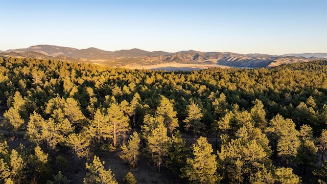 property view of mountains