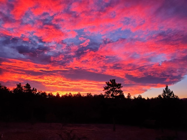 view of nature at dusk